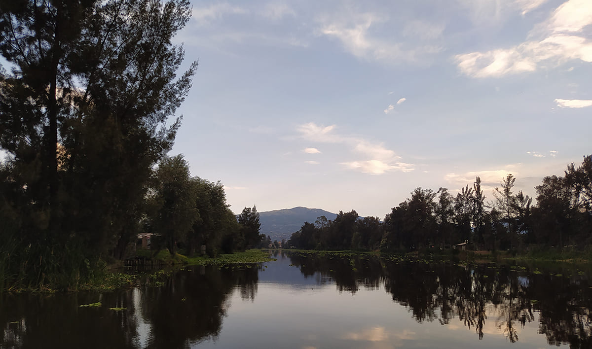 ServiciosdeJardineriaXochimilco-Banner-Nosotros