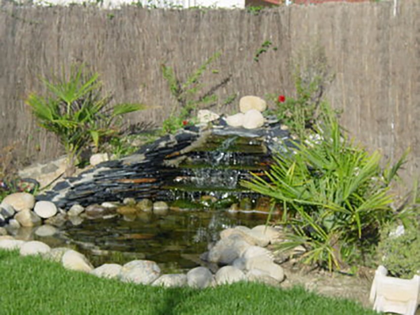 ServiciosdeJardineriaXochimilco-Galeria-Inicio