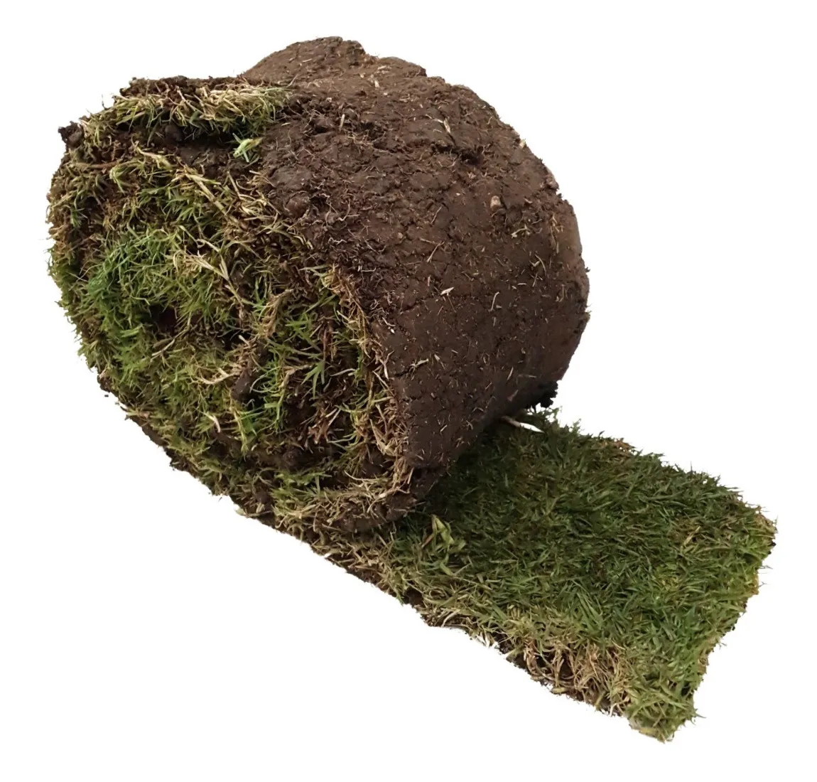 D_NQ_NP_2X_986853-MLM48574089691_122021-F